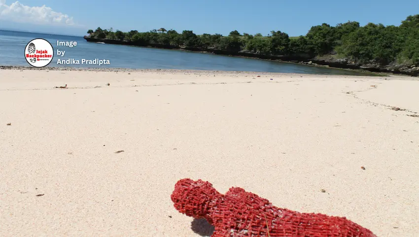 Pasir pantai berwarna pink karena pecahan karang