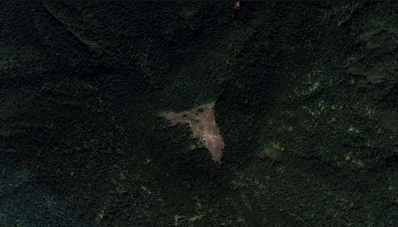 Foto alun-alun Mandalawangi Gunung Pangrango dari citra satelit
