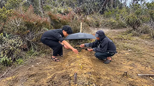 Pendaki memasang nisan dan menaburkan bunga di makam Kris Biantoro. Gambar dari Tiktok demn - dienhance menggunakan AI